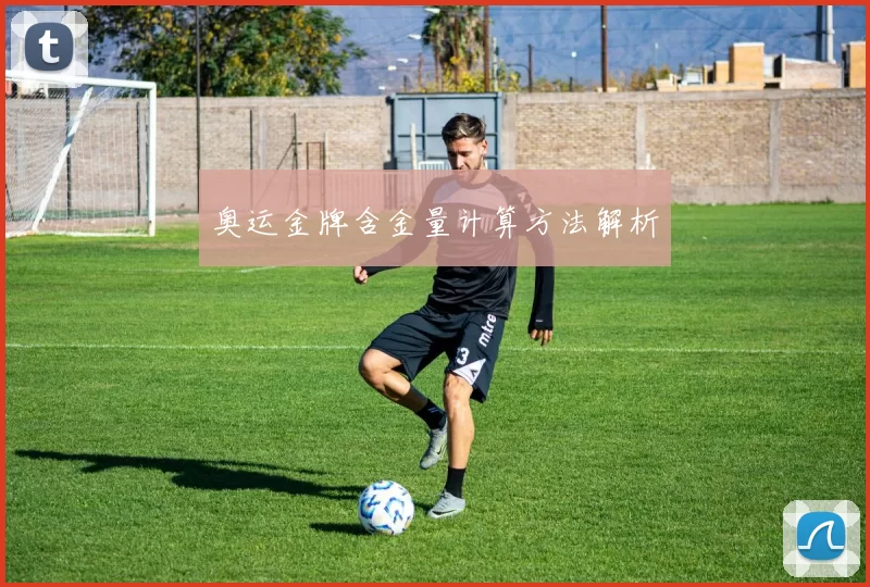 奥运金牌含金量计算方法解析