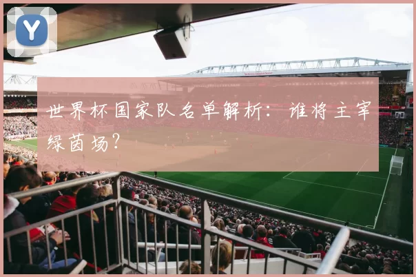 世界杯国家队名单解析:谁将主宰绿茵场?