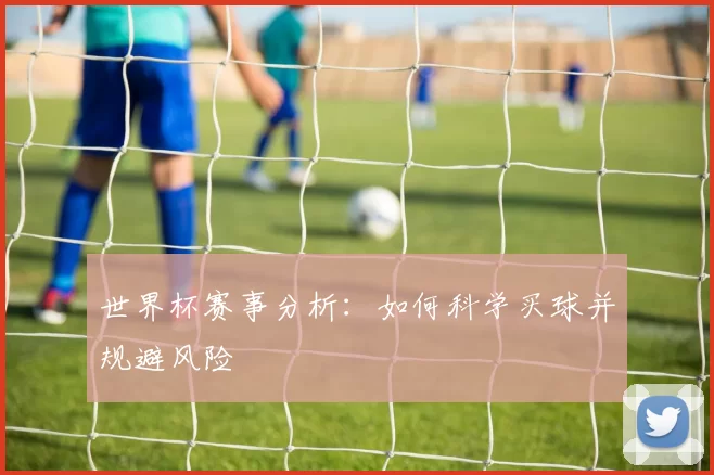 世界杯赛事分析:如何科学买球并规避风险