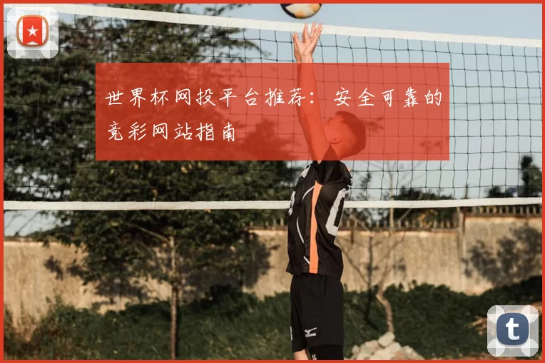 世界杯网投平台推荐:安全可靠的竞彩网站指南