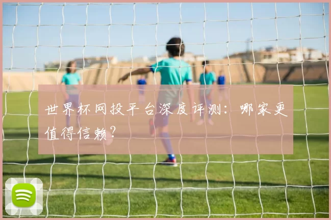 世界杯网投平台深度评测:哪家更值得信赖?