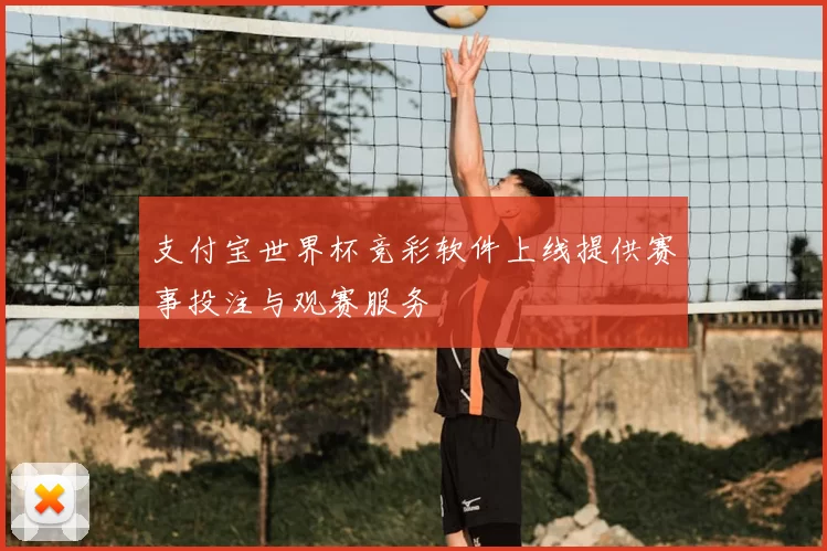 支付宝世界杯竞彩软件上线提供赛事投注与观赛服务