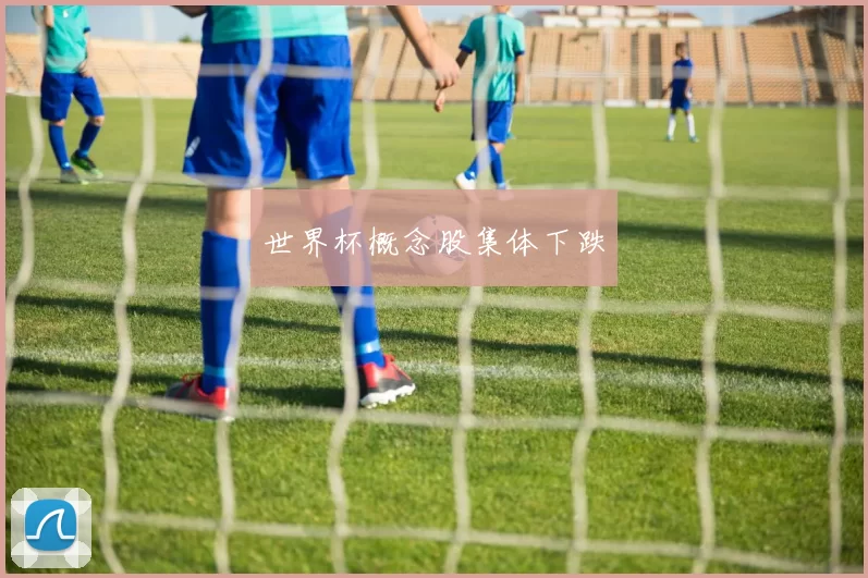 世界杯概念股集体下跌