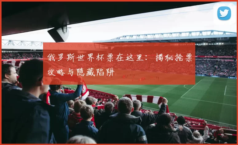俄罗斯世界杯票在这里:揭秘抢票攻略与隐藏陷阱