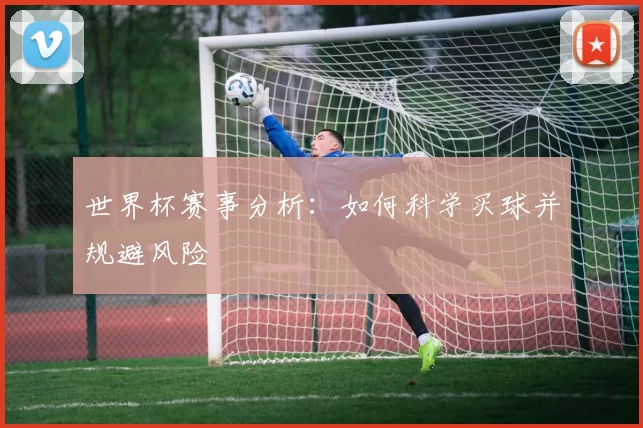 世界杯赛事分析:如何科学买球并规避风险