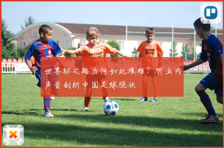 世界杯之路为何如此艰难?听业内声音剖析中国足球现状